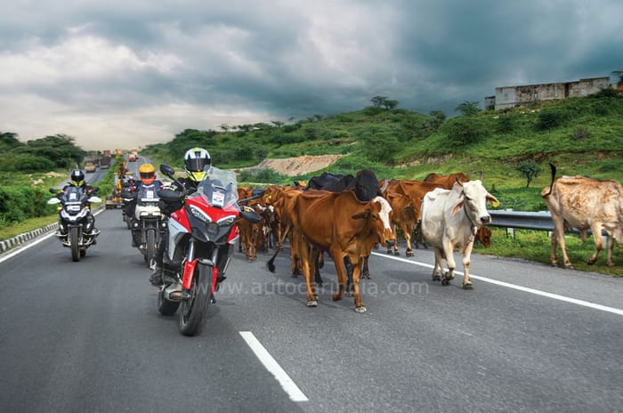 BMW vs Ducati vs Harley vs Triumph - 2000km ADV road trip comparison